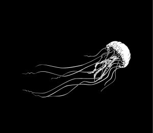 © Emilia Tillberg
